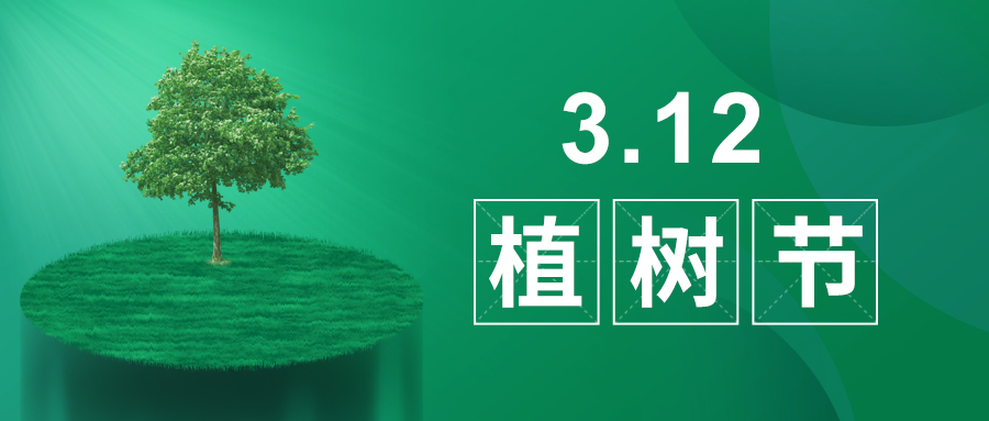 3.12植樹節|除了植樹，我們還能做什么？